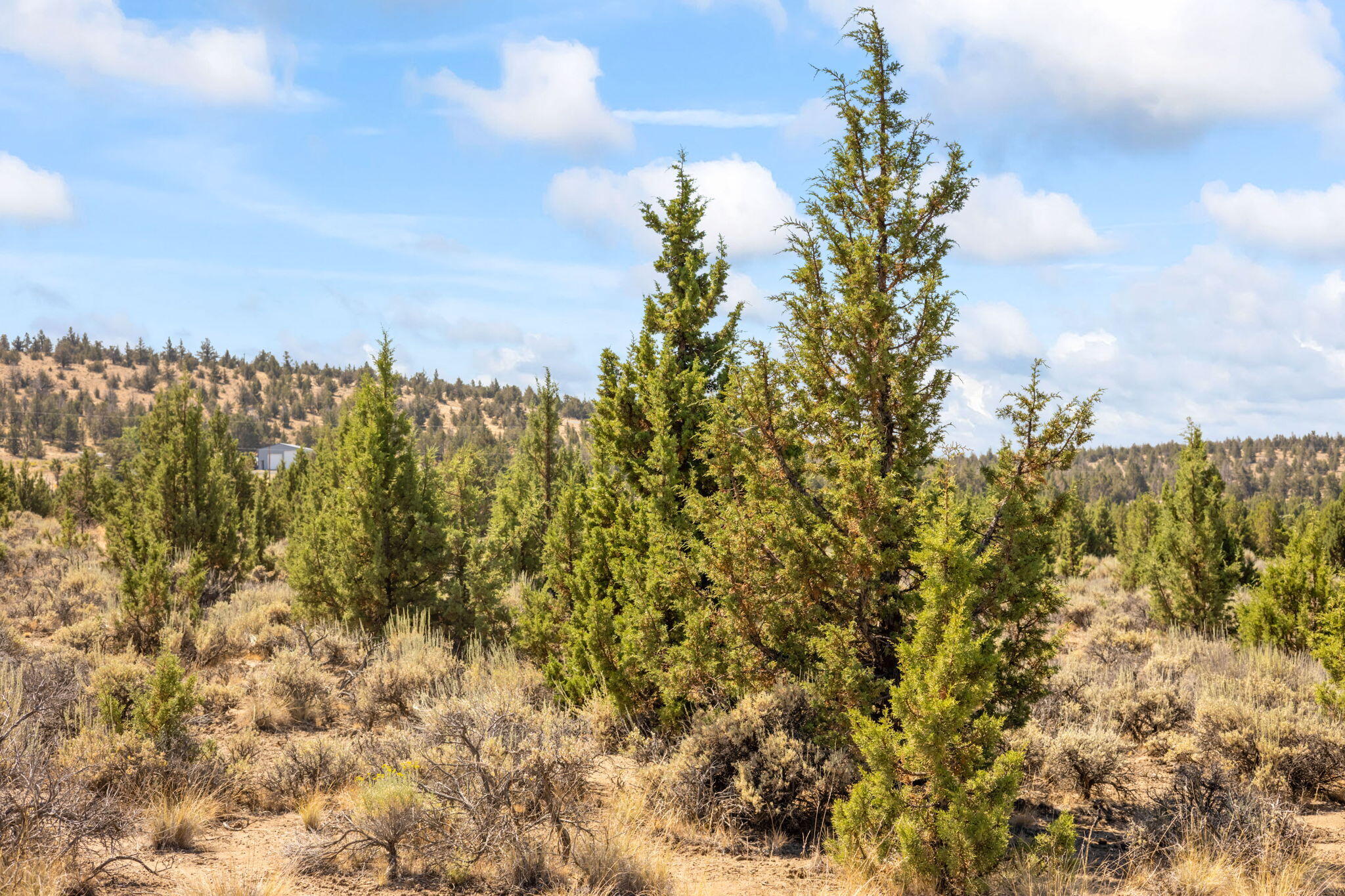 Prineville Lake Acres 2 - Land