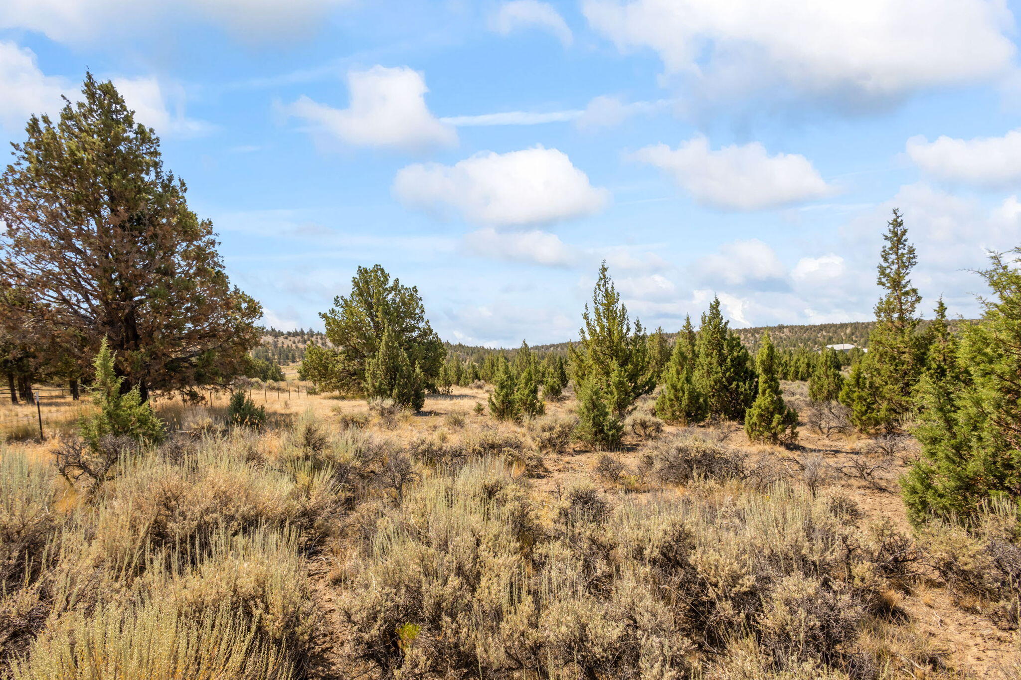 Prineville Lake Acres 2 - Land