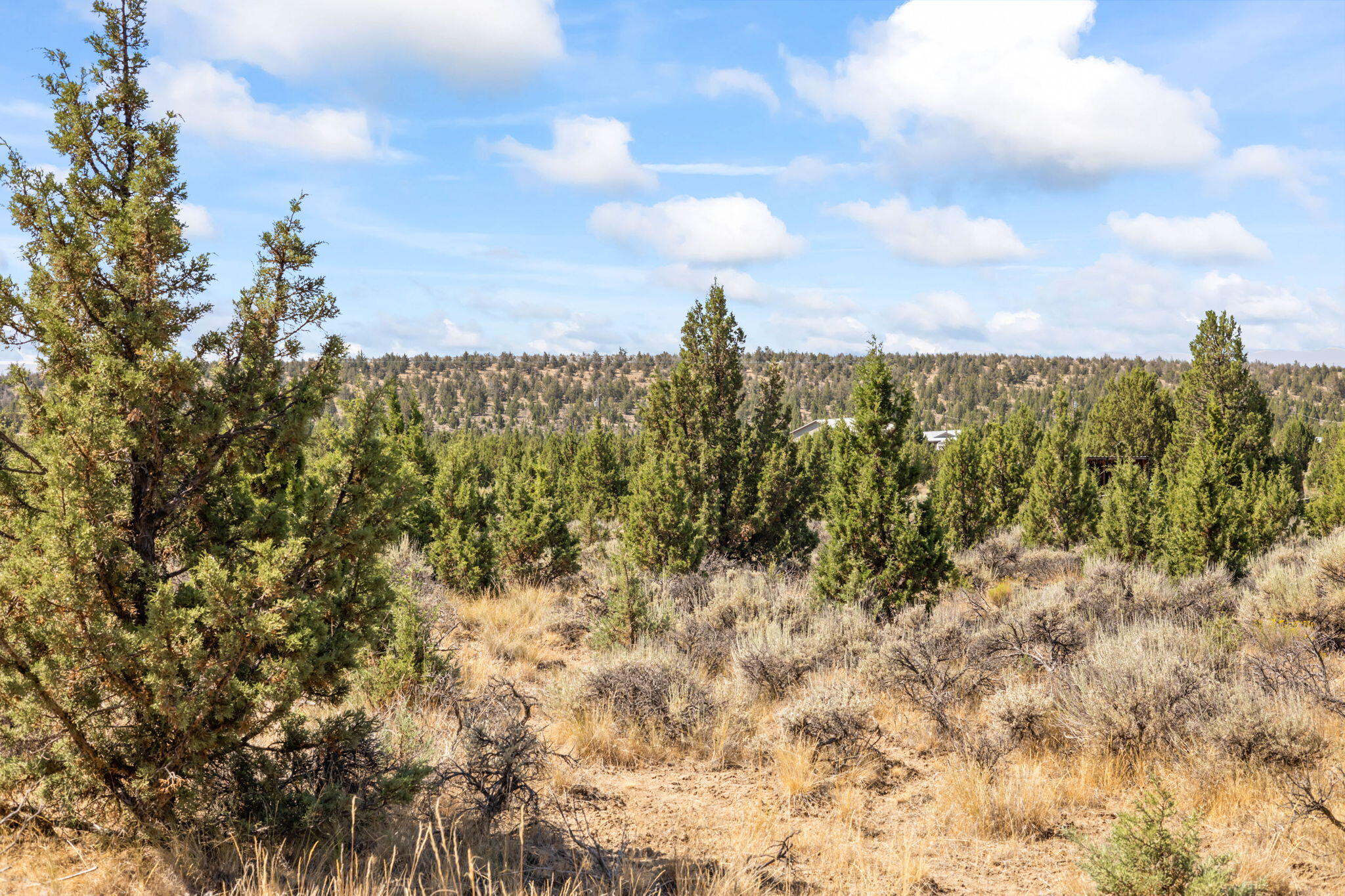 Prineville Lake Acres 2 - Land