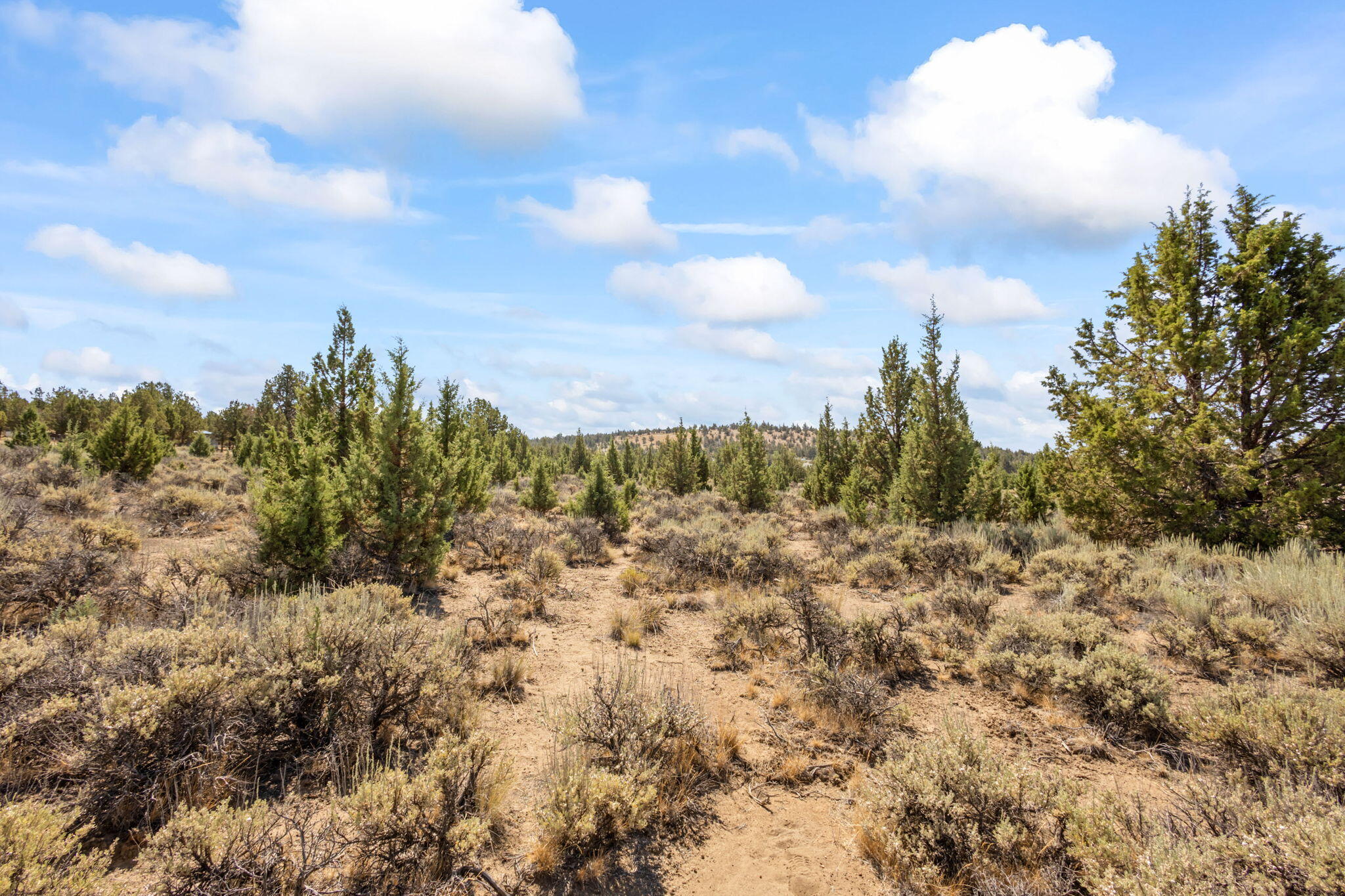 Prineville Lake Acres 2 - Land
