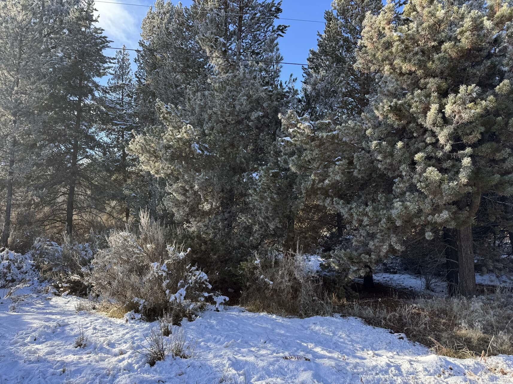 Rainbow Park On The Williamson - Land
