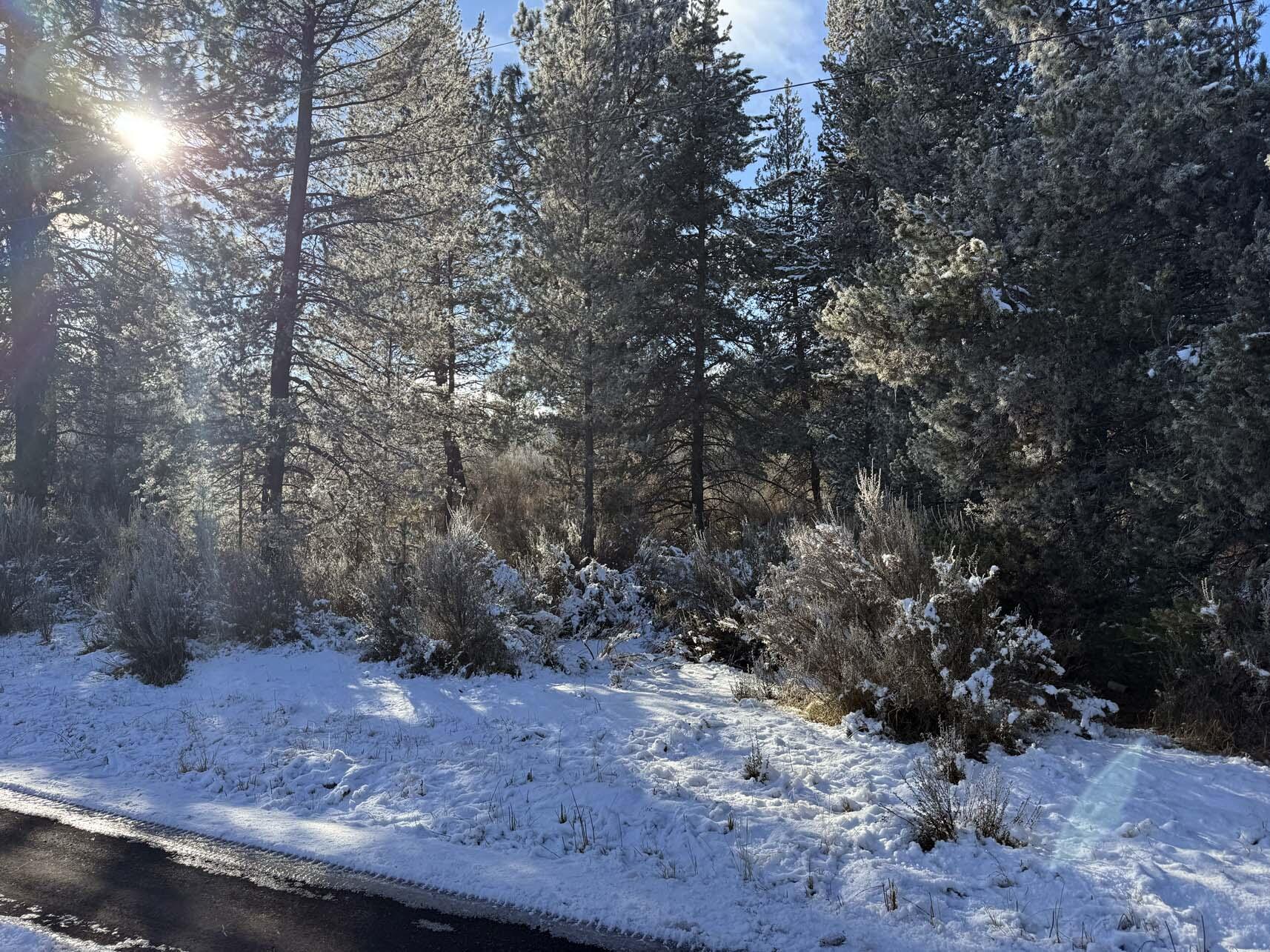 Rainbow Park On The Williamson - Land