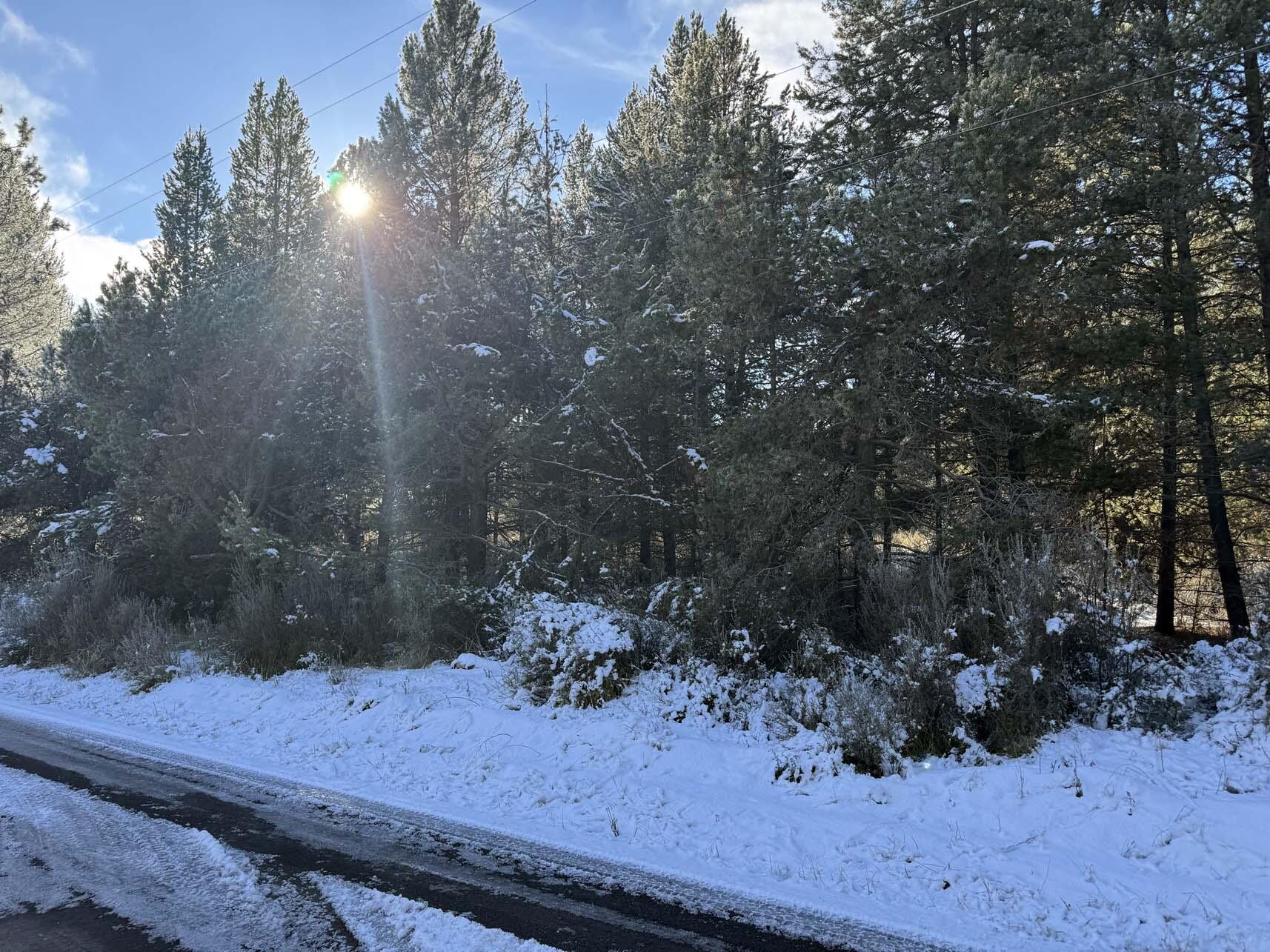 Rainbow Park On The Williamson - Land