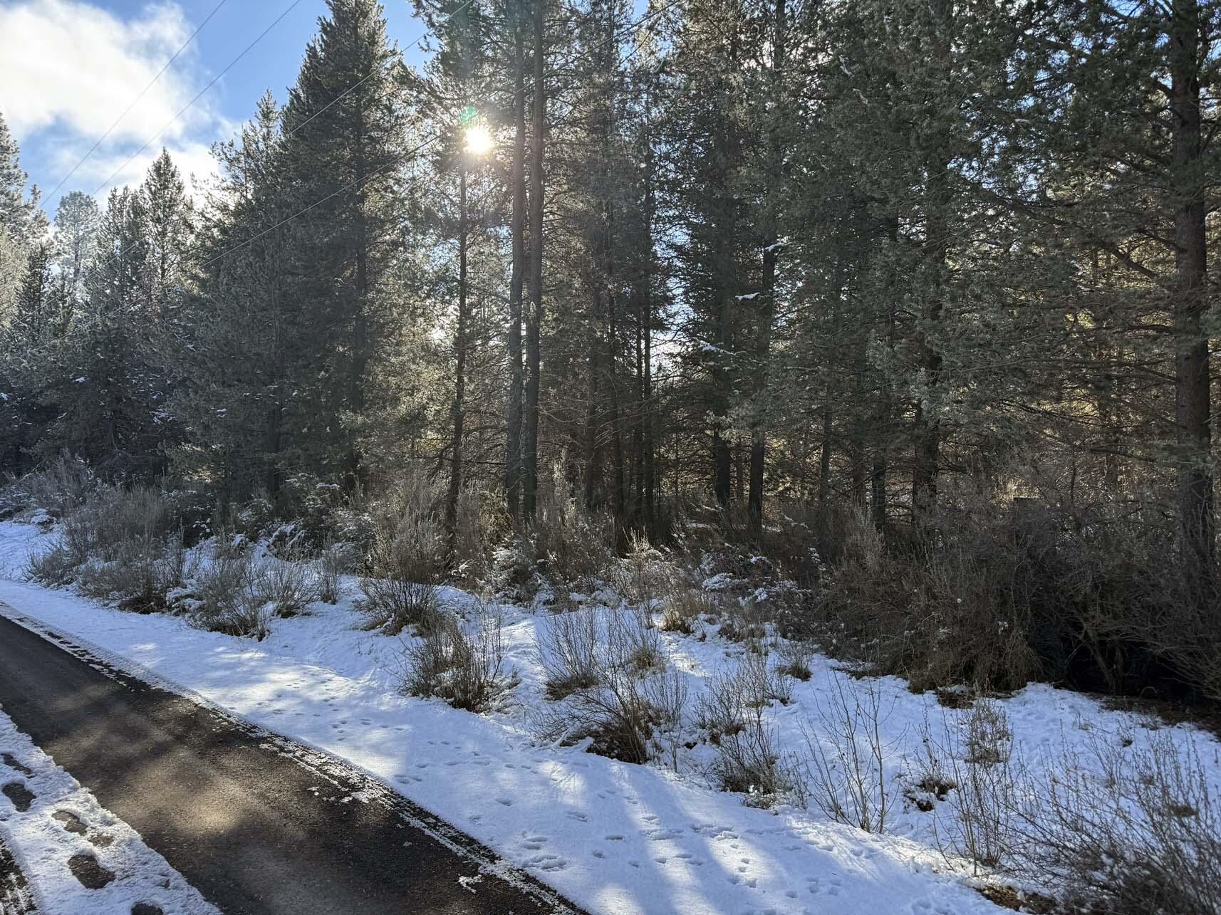 Rainbow Park On The Williamson - Land