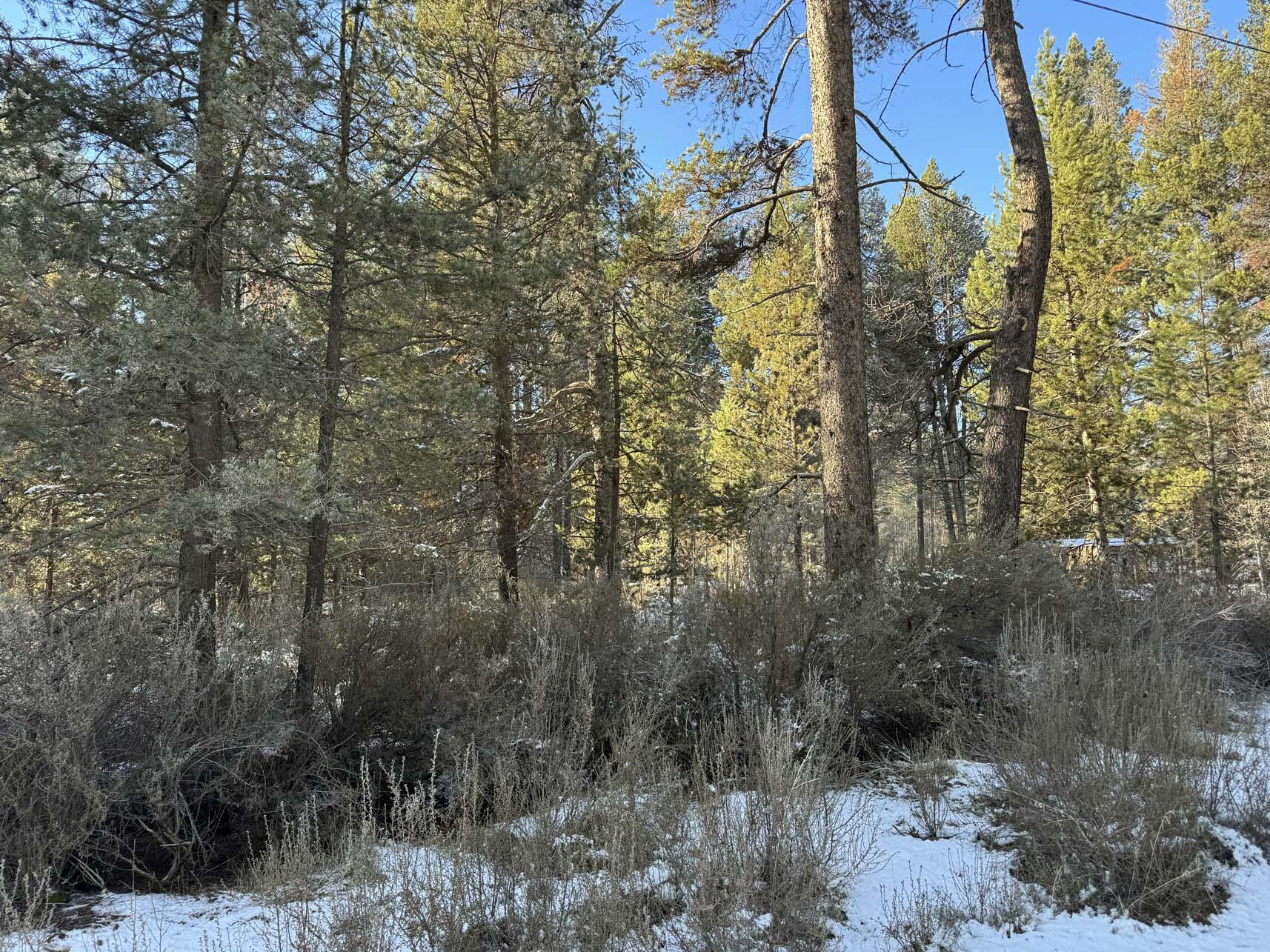 Rainbow Park On The Williamson - Land