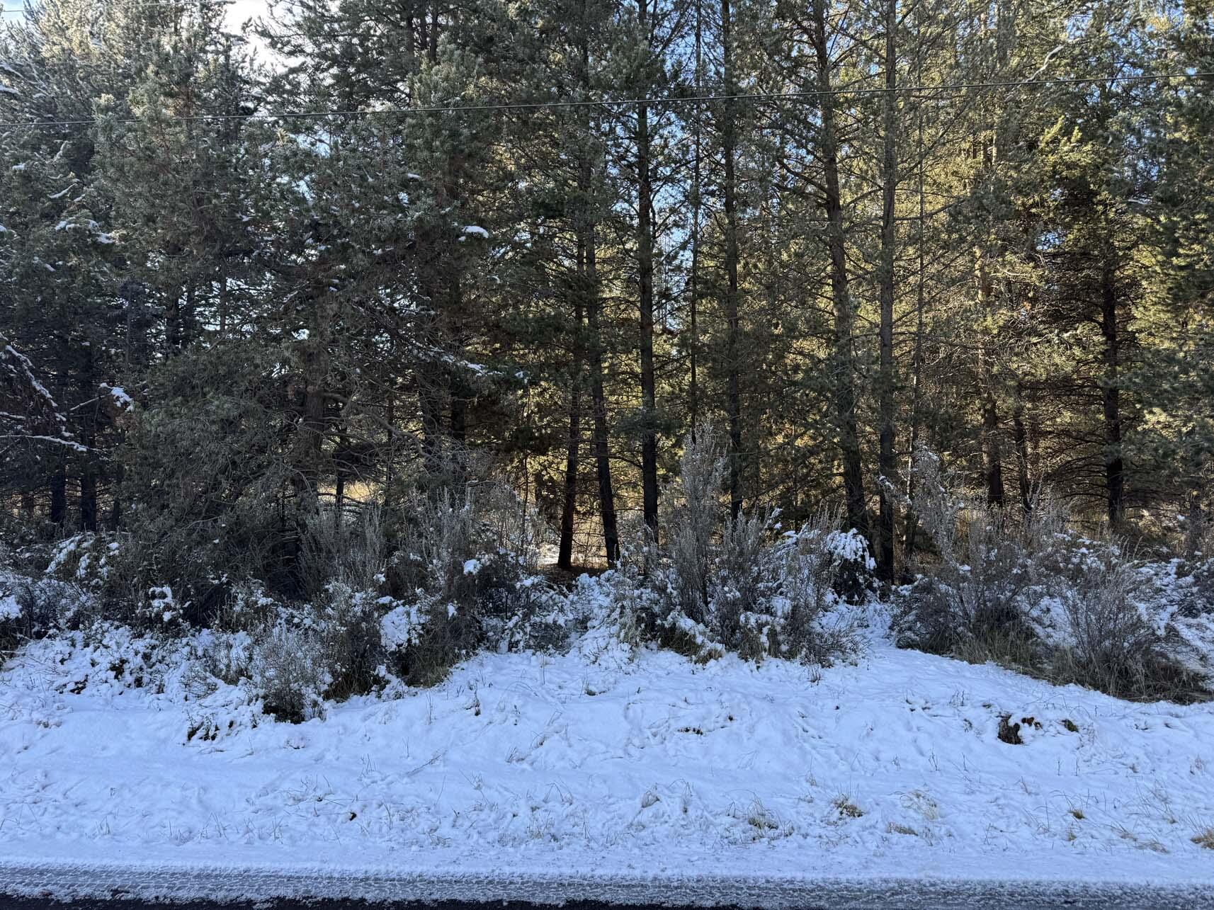 Rainbow Park On The Williamson - Land