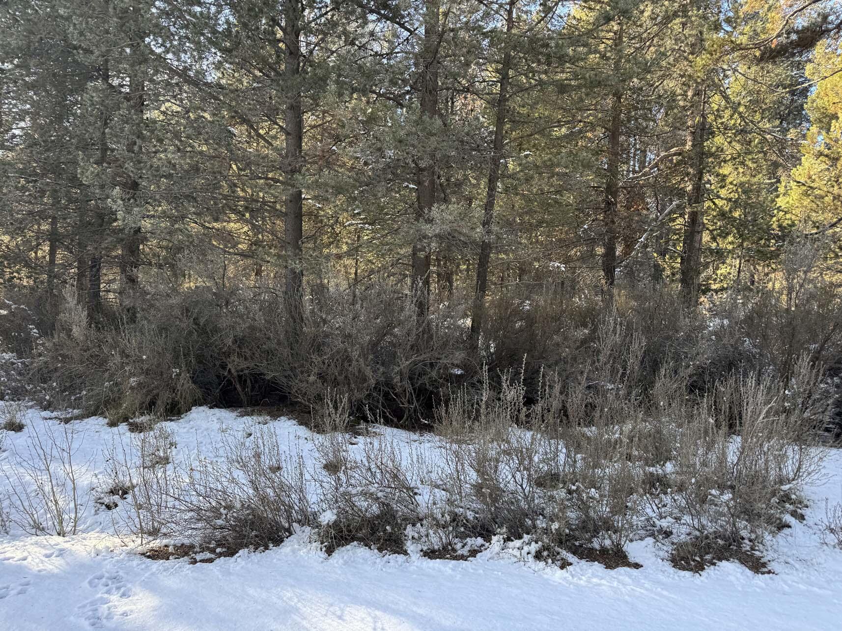 Rainbow Park On The Williamson - Land