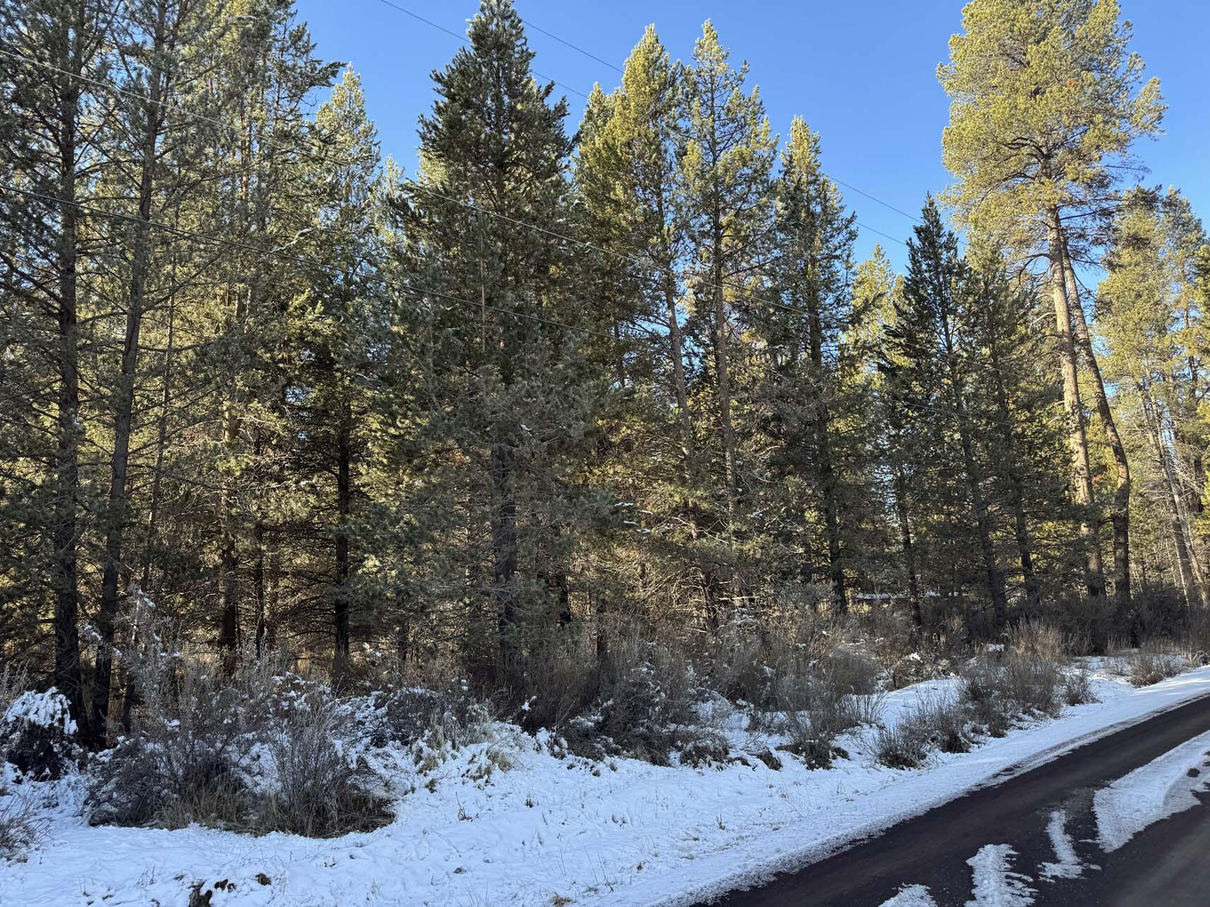 Rainbow Park On The Williamson - Land