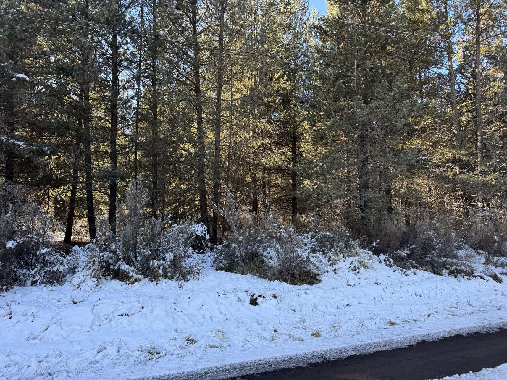 Rainbow Park On The Williamson - Land