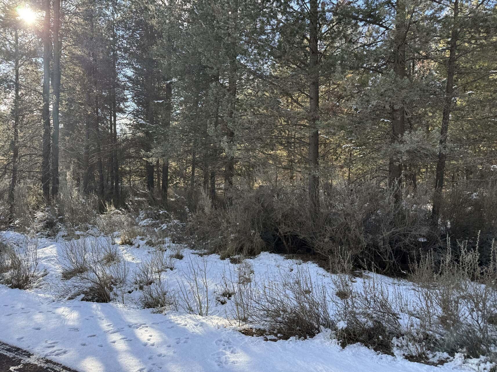 Rainbow Park On The Williamson - Land