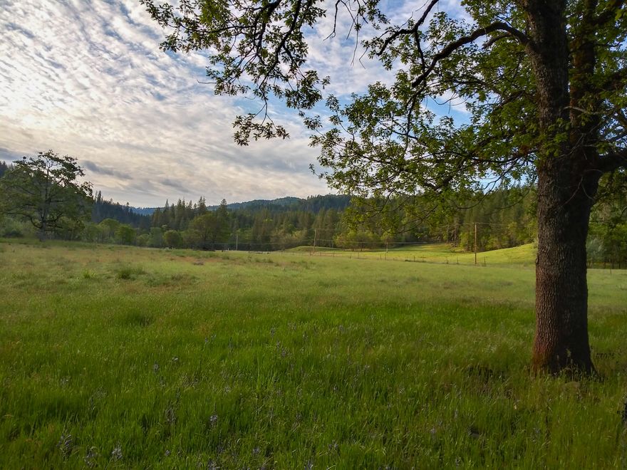 Prime land deal in Shady Cove, Oregon! Upon arrival you will be taken away by the scenic mountain views in all directions, a lush landscape, and a property offering a rural feel and privacy to it. Think custom homesite, homestead opportunity, small farming, hemp, and if nothing else, a generational investment in some Oregon real estate. 
***OWC, Possible***