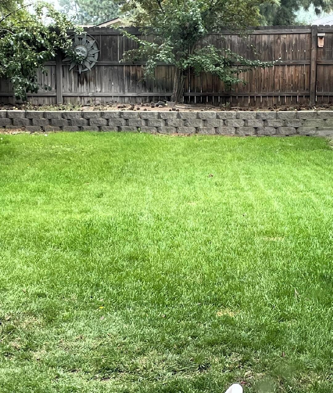 South Village - Residential