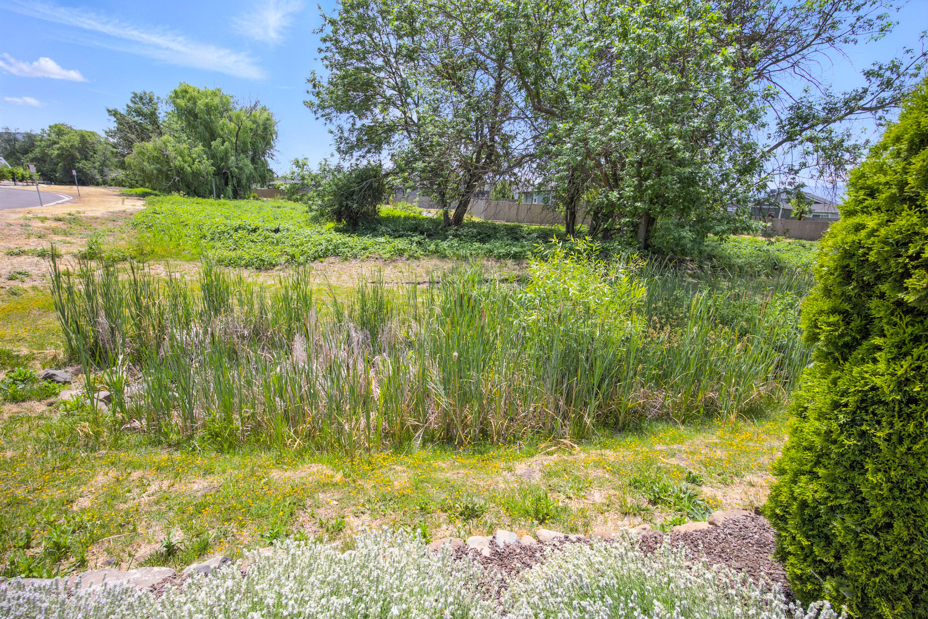 Horse Arena Subdivision, Phase 1 - Residential