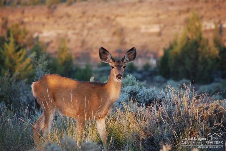 Crooked River Ranch - Land