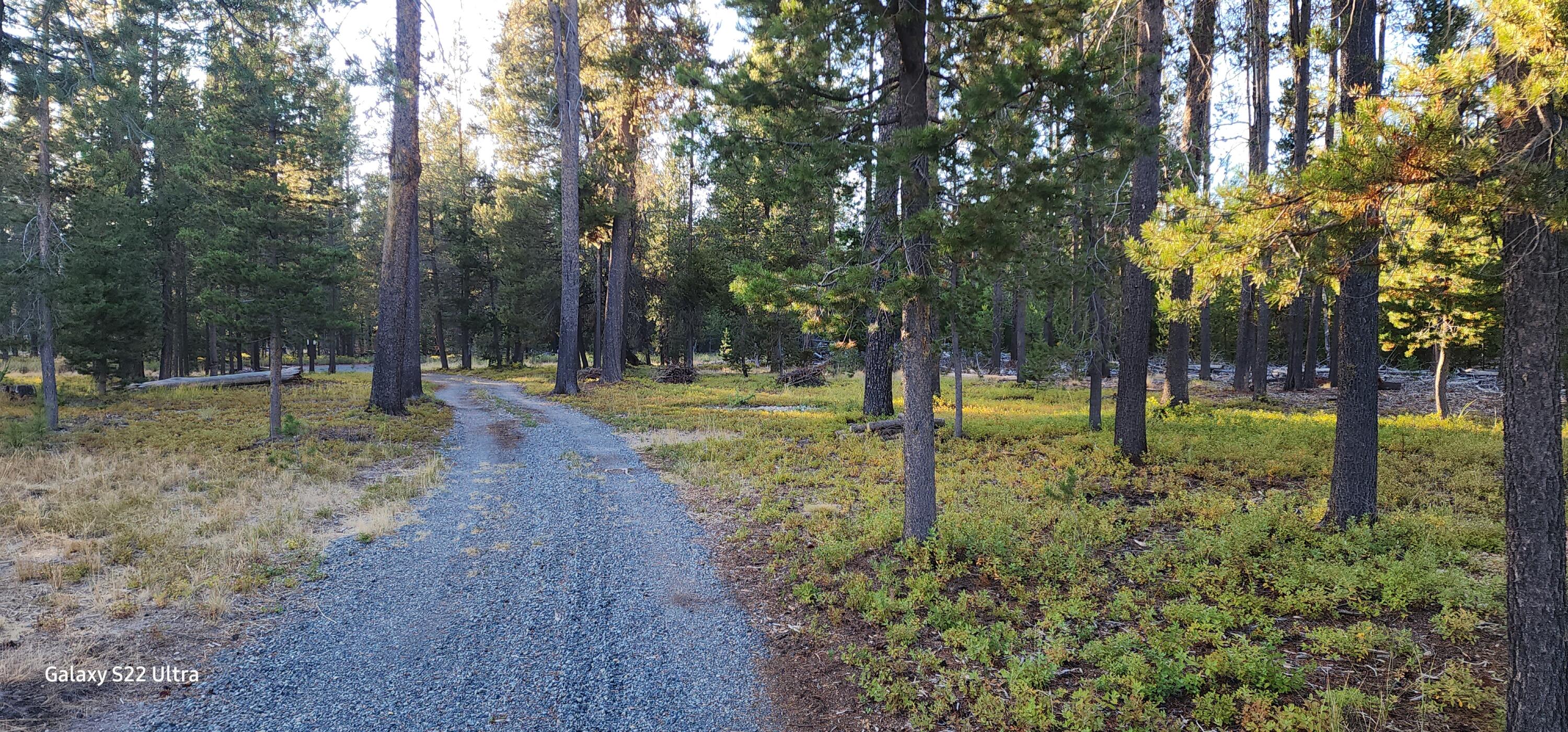 Mt. Scott Meadow - Land