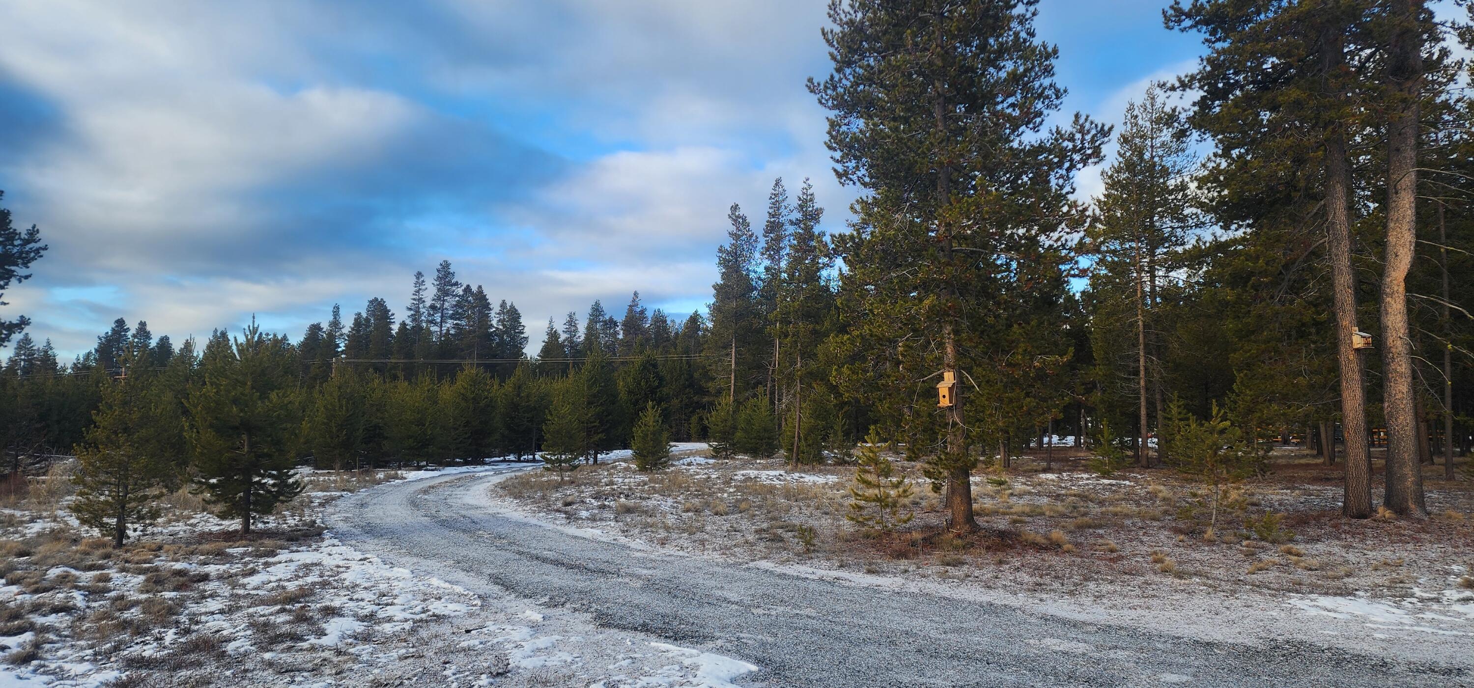 Mt. Scott Meadow - Land