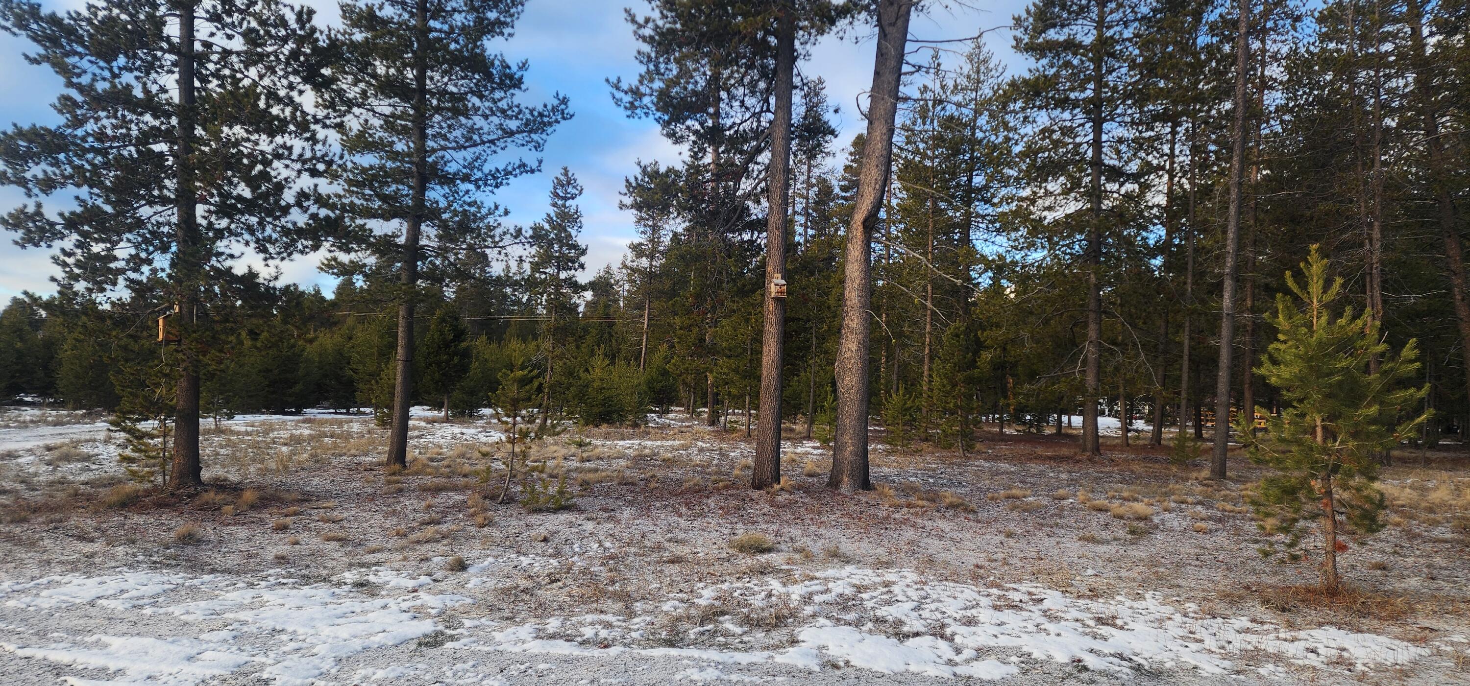 Mt. Scott Meadow - Land