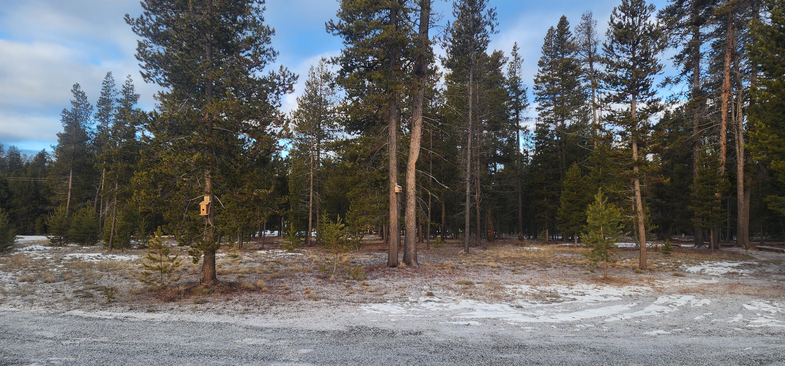 Mt. Scott Meadow - Land