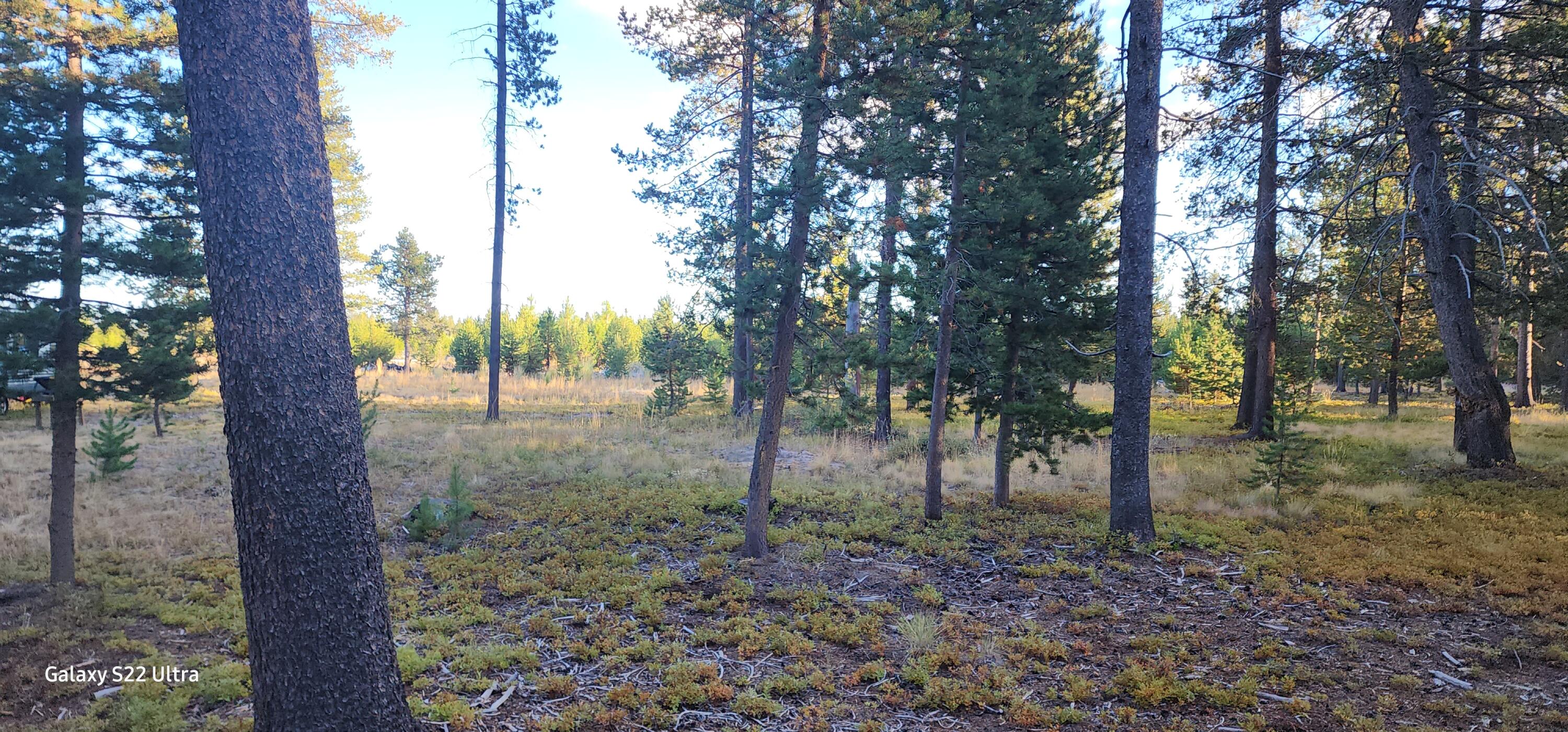 Mt. Scott Meadow - Land