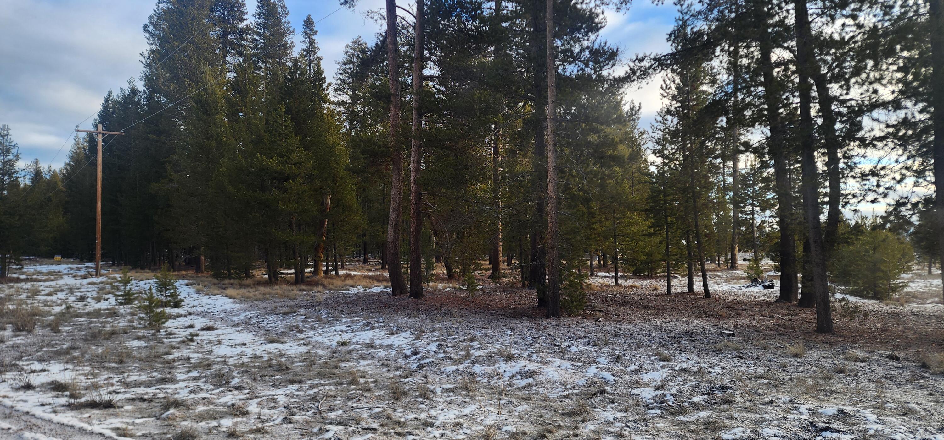 Mt. Scott Meadow - Land