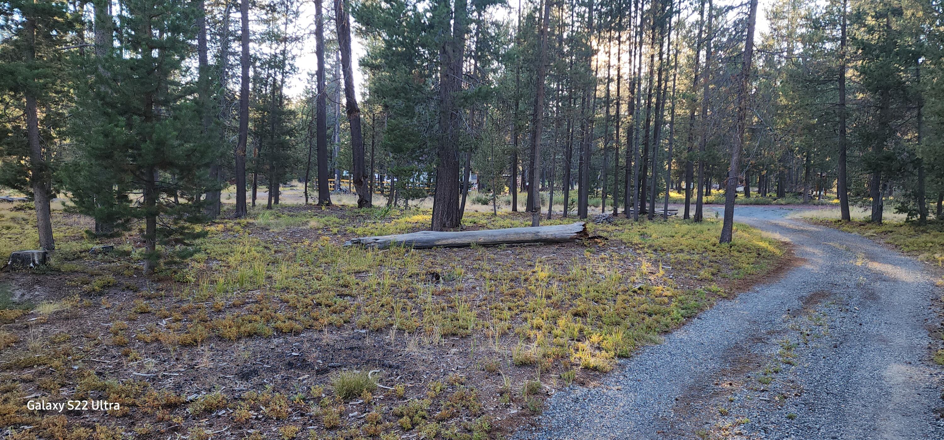 Mt. Scott Meadow - Land