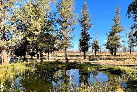 Tiny photo for 18130 Wanona Road, Sisters, OR 97759 (MLS # 220229847)