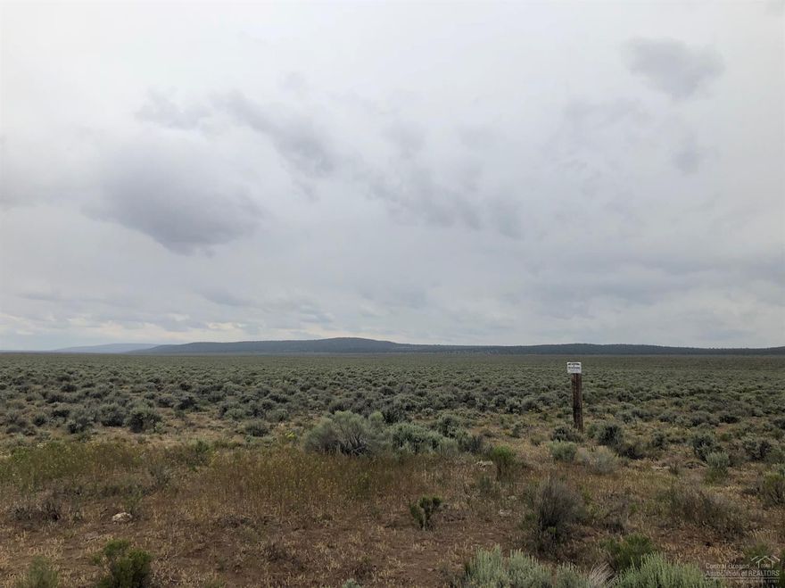 Own a piece of the wild west. 39 acres of prime desert awaits! Adjoins BLM just minutes from Brothers and recreation.