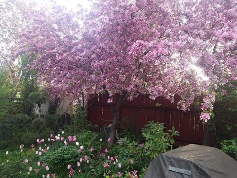 Tiny photo for 20029 Rock Bluff Circle, Bend, OR 97702 (MLS # 220217689)