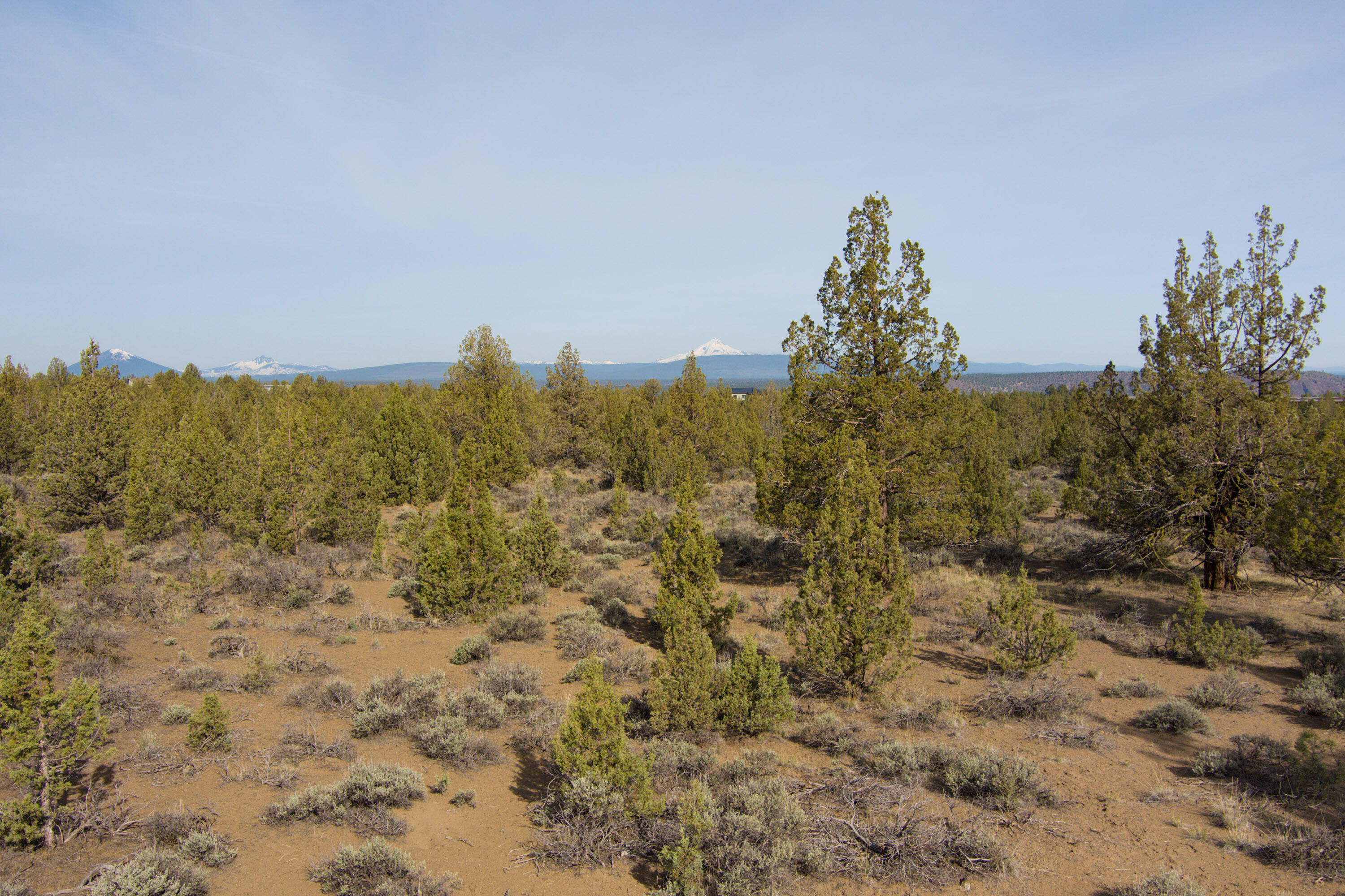 Lower Bridge Estate - Land