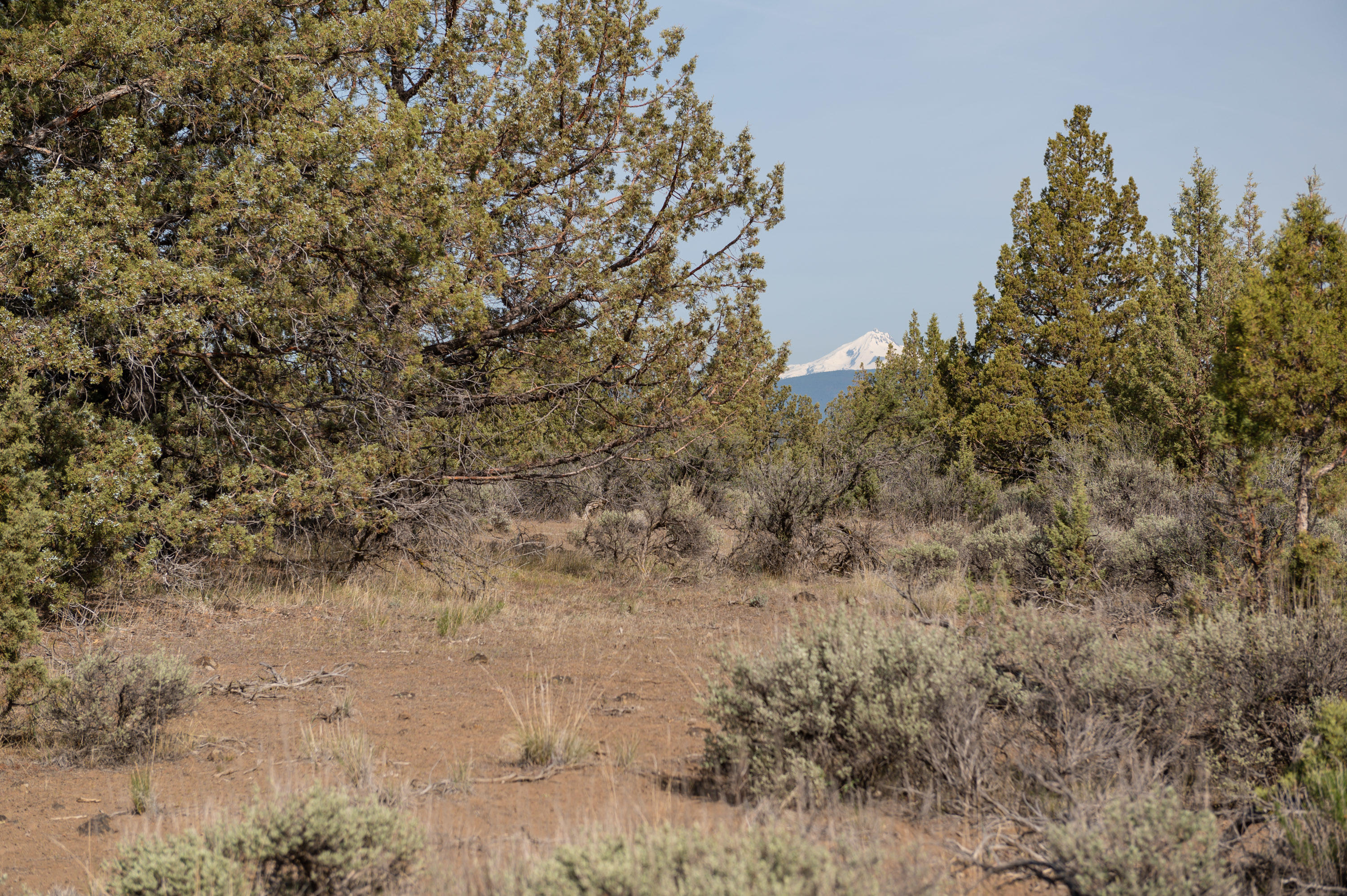 Lower Bridge Estate - Land