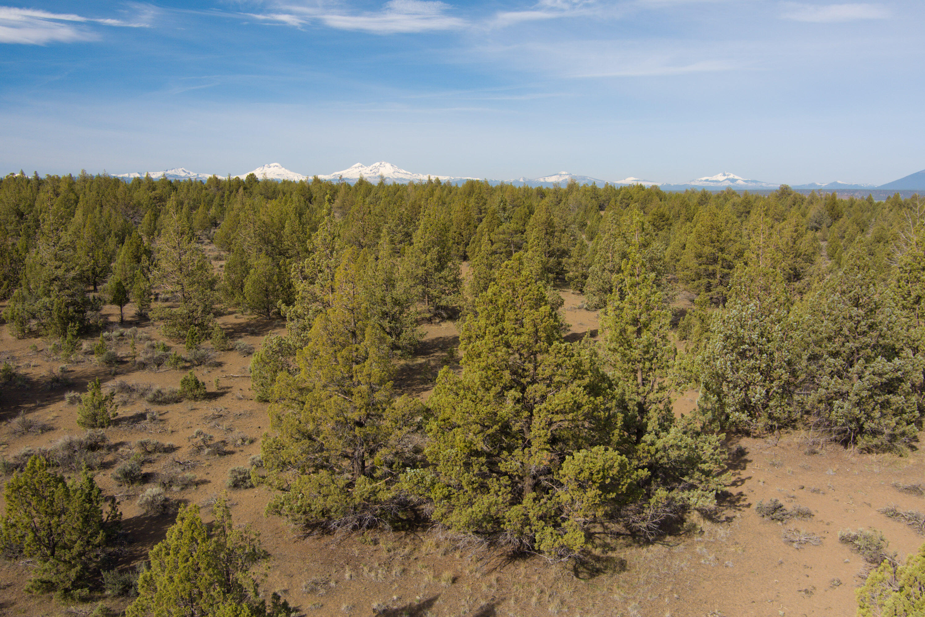 Lower Bridge Estate - Land