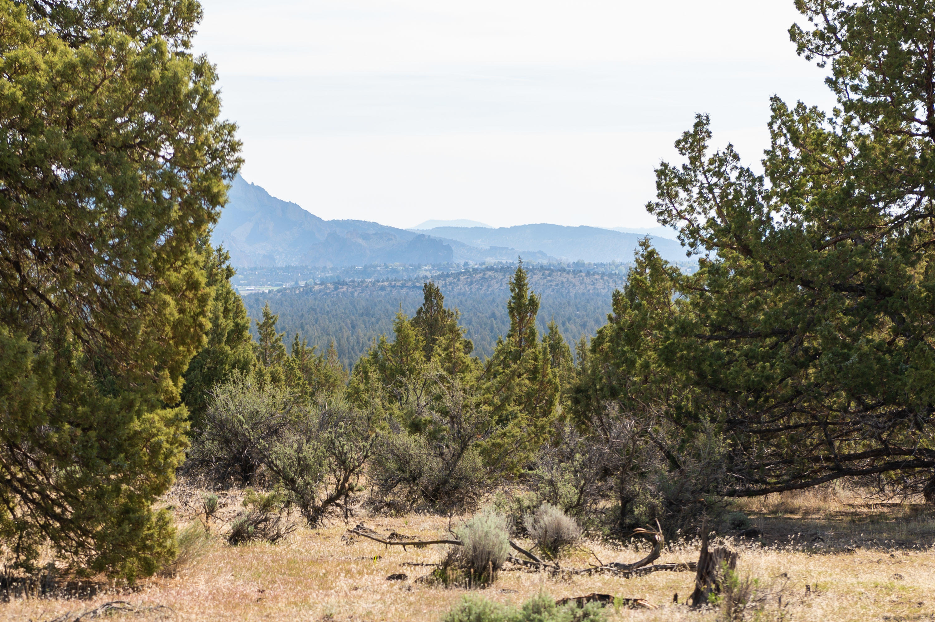 Lower Bridge Estate - Land