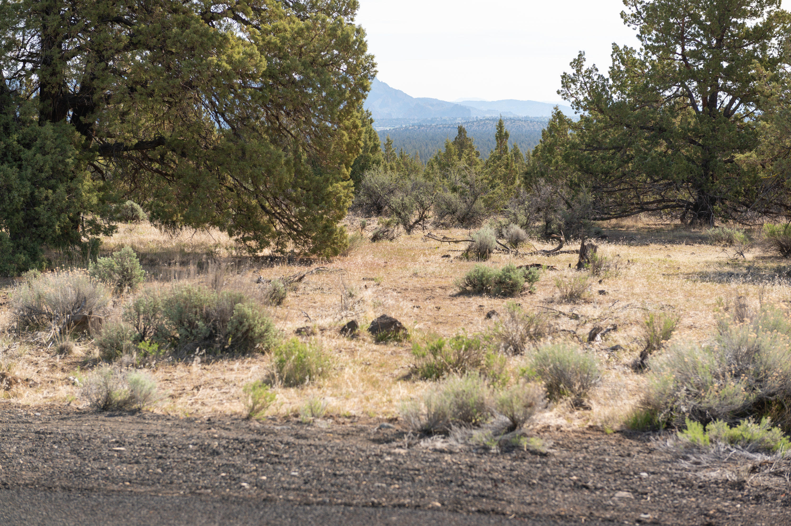 Lower Bridge Estate - Land
