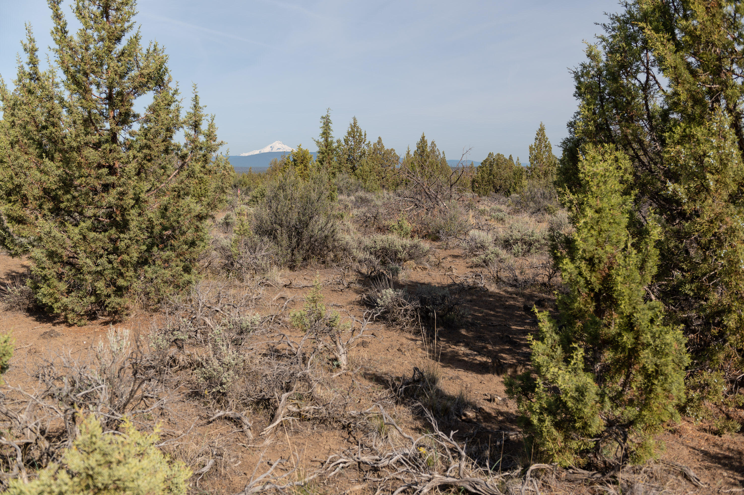 Lower Bridge Estate - Land