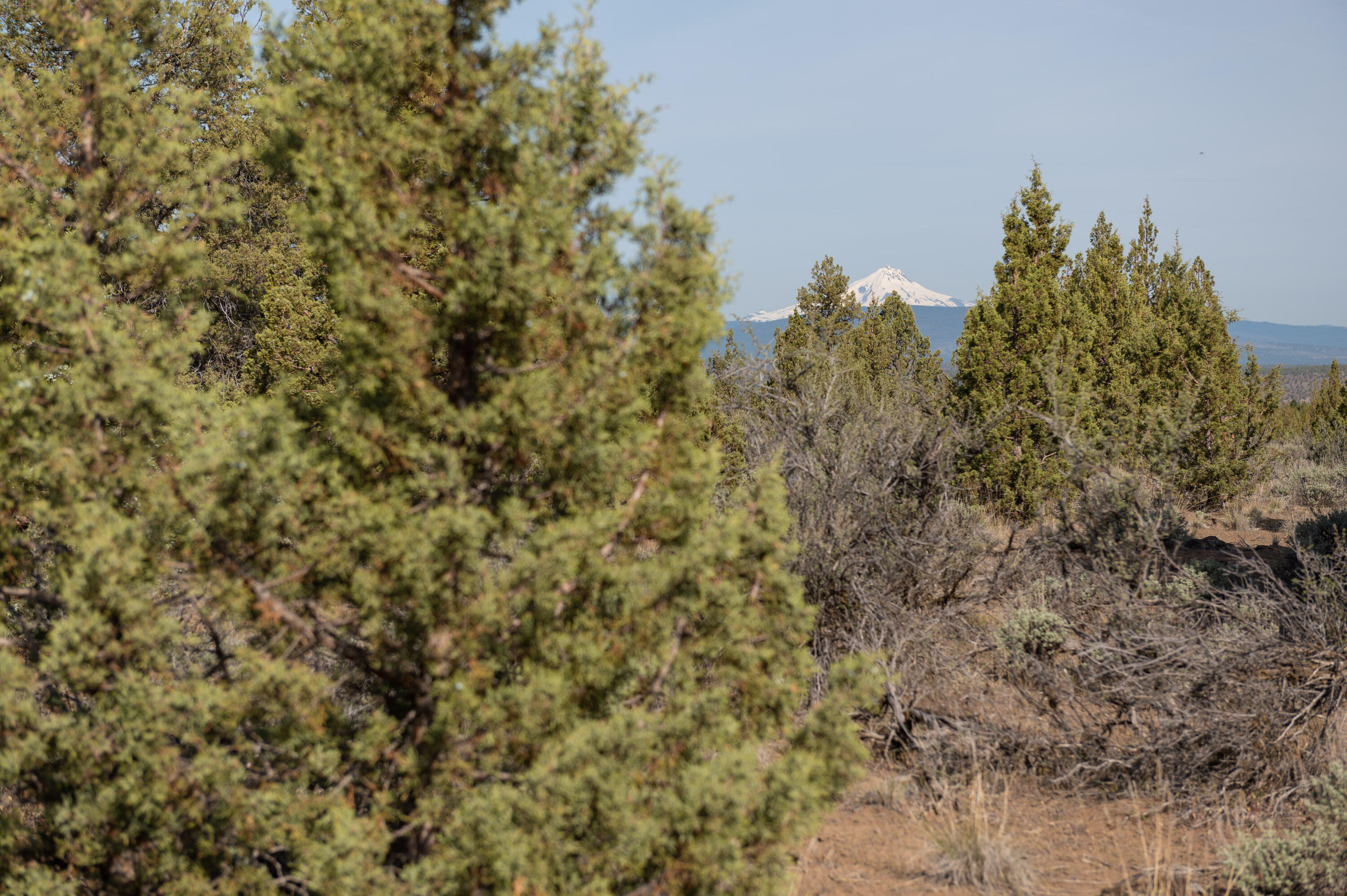 Lower Bridge Estate - Land