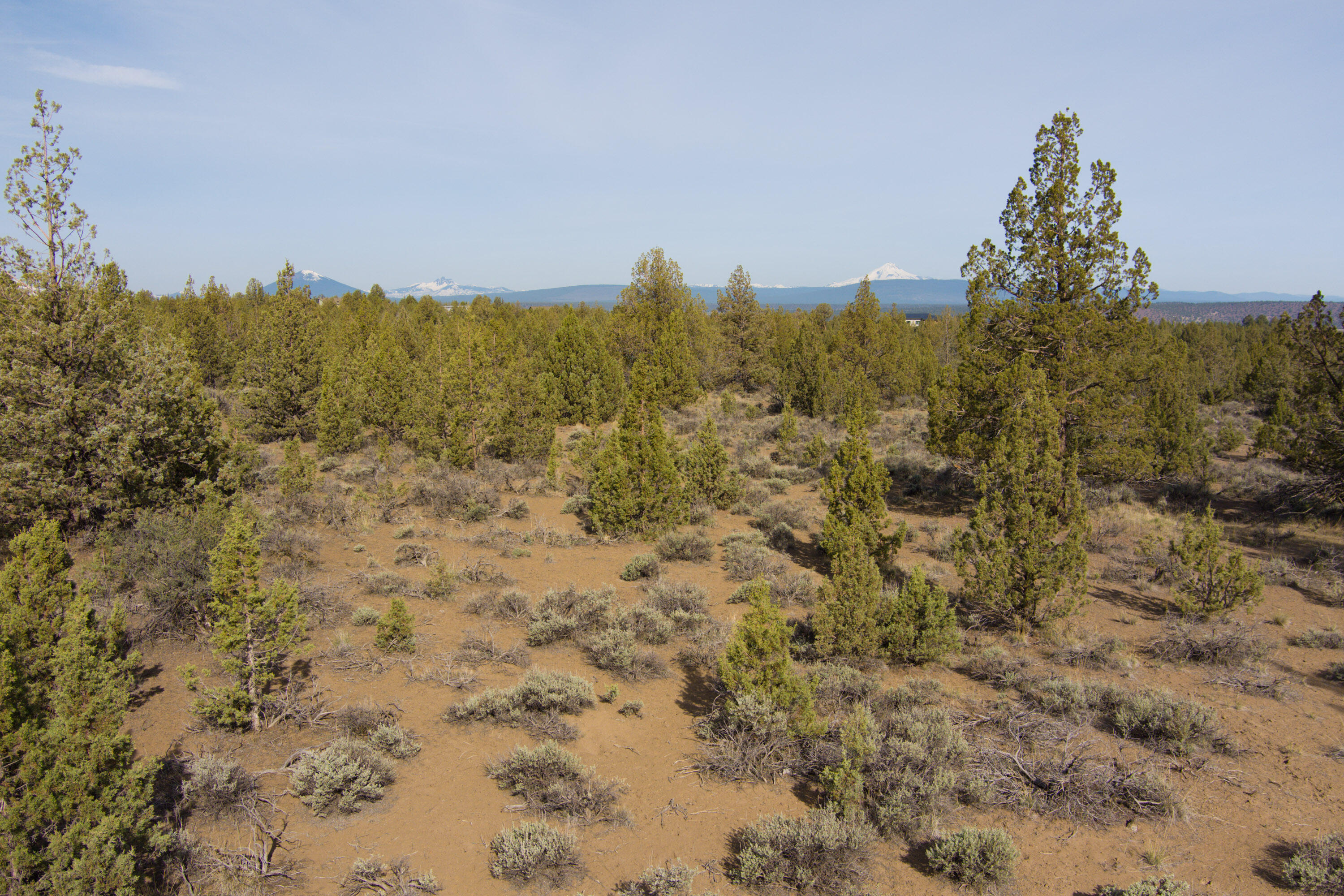 Lower Bridge Estate - Land