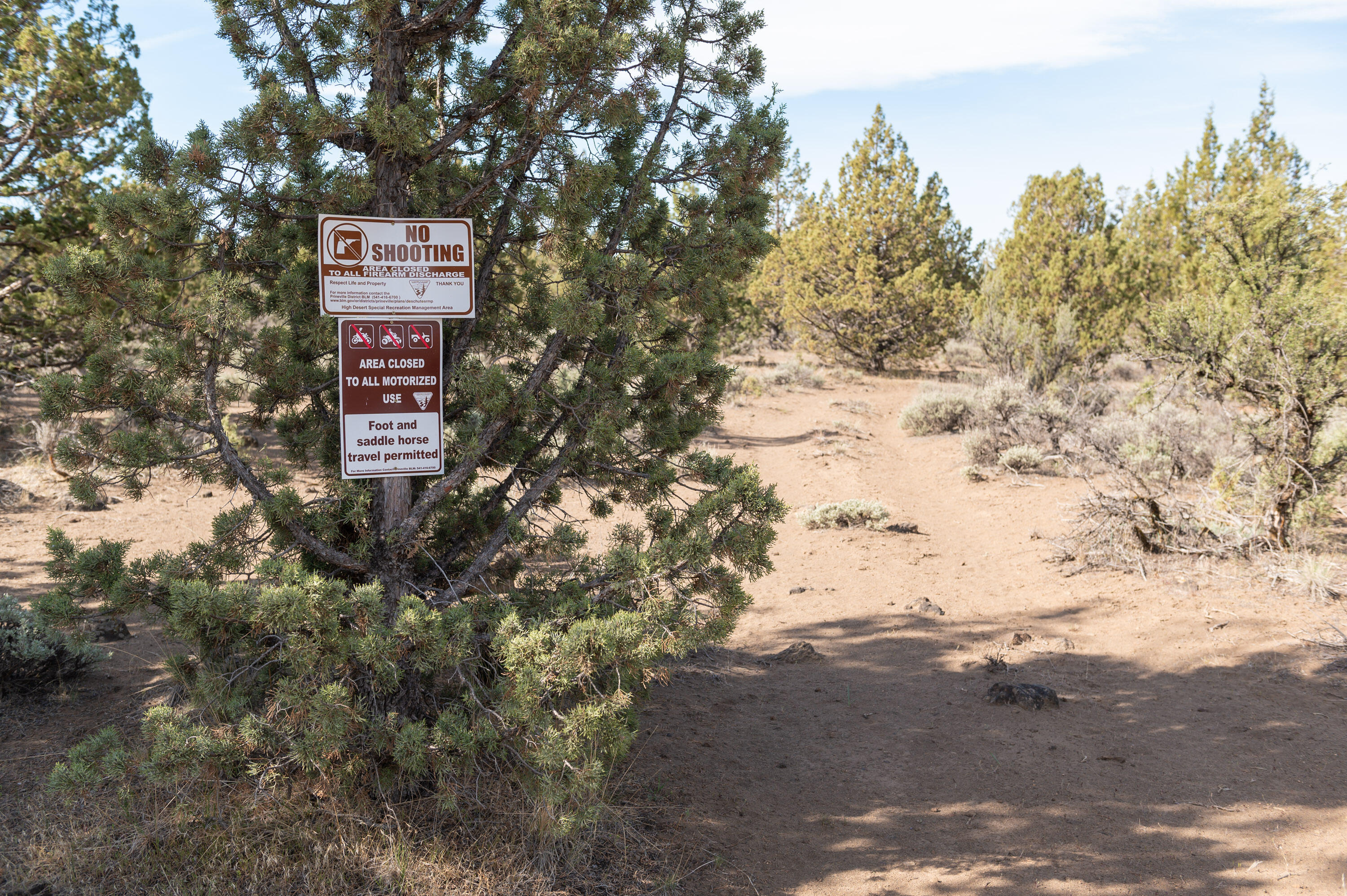 Lower Bridge Estate - Land