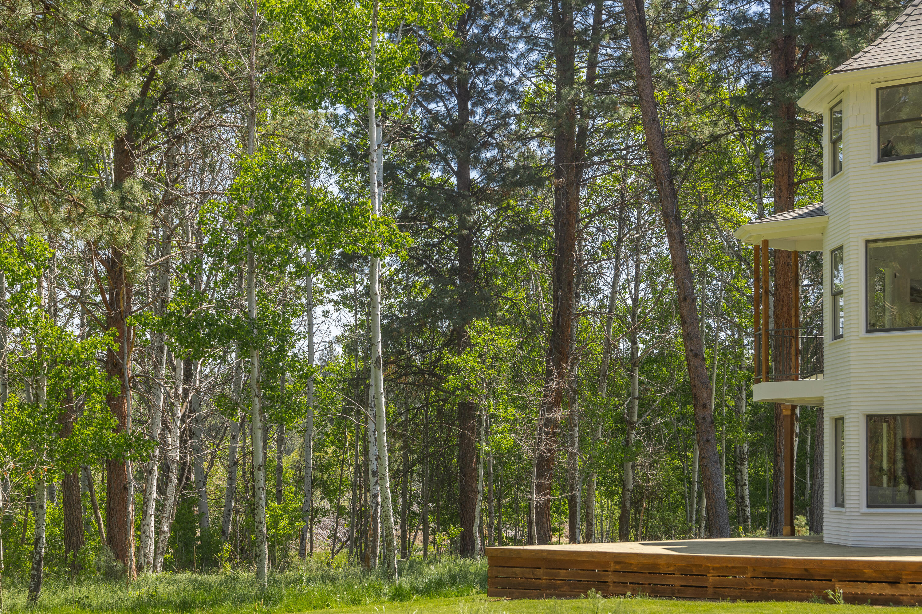 Sage Meadow - Residential