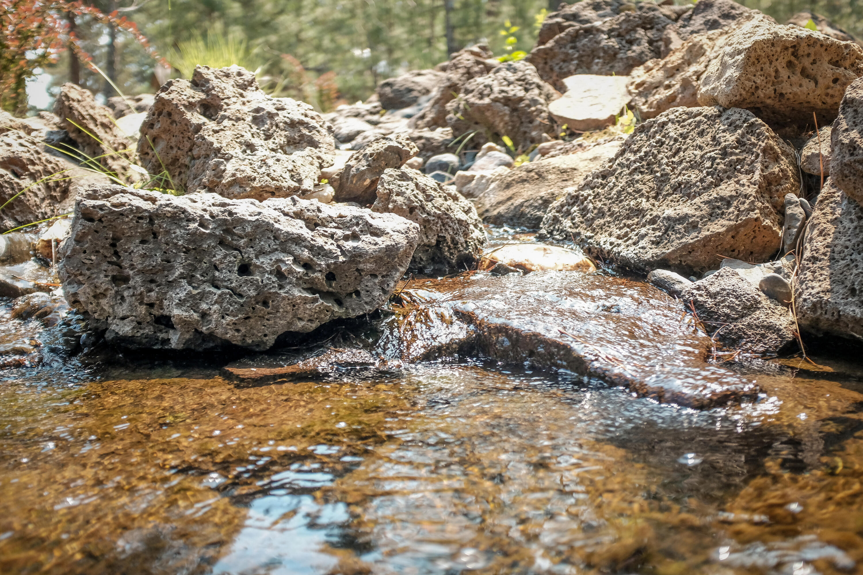 Sage Meadow - Residential