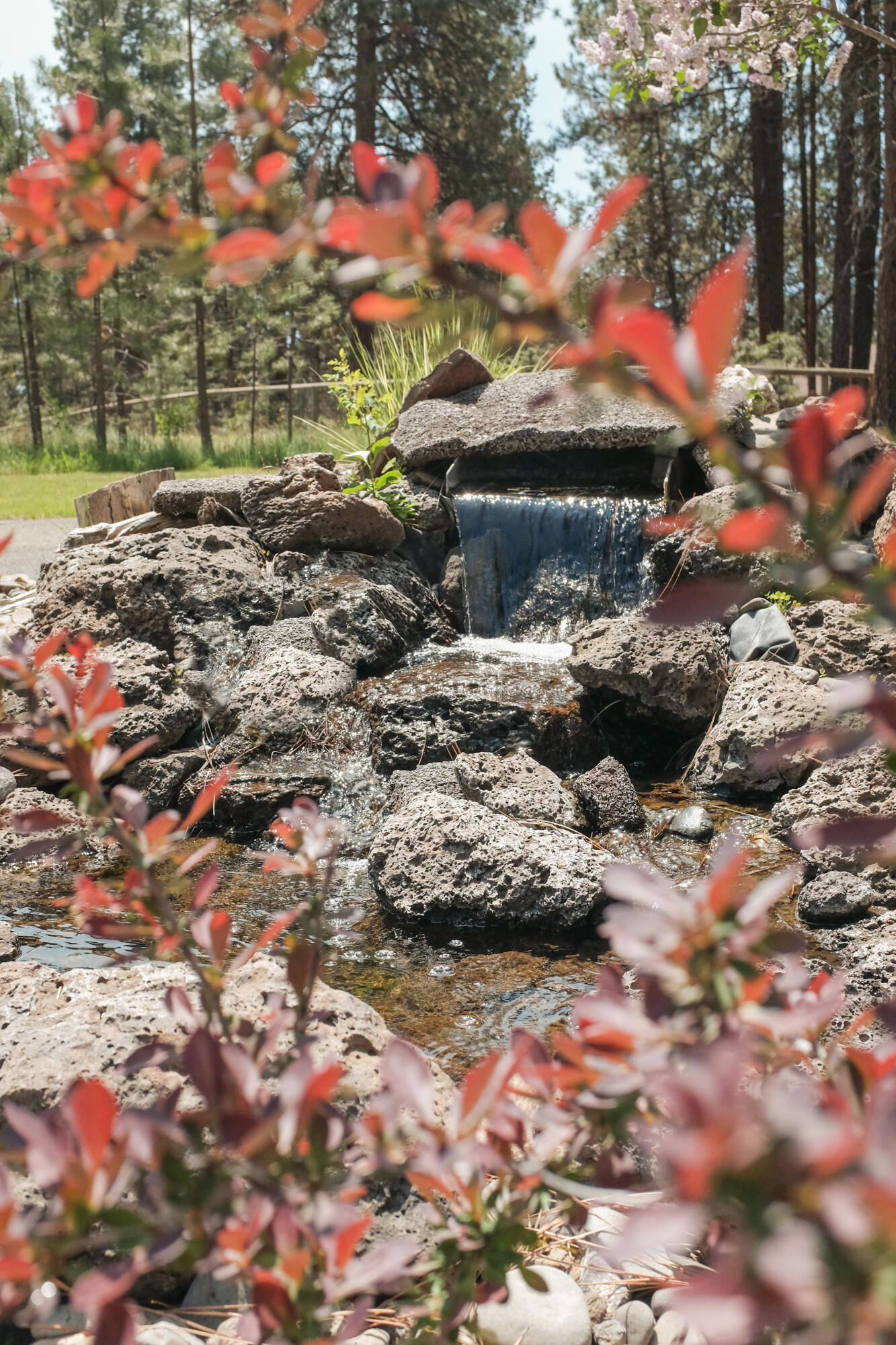 Sage Meadow - Residential
