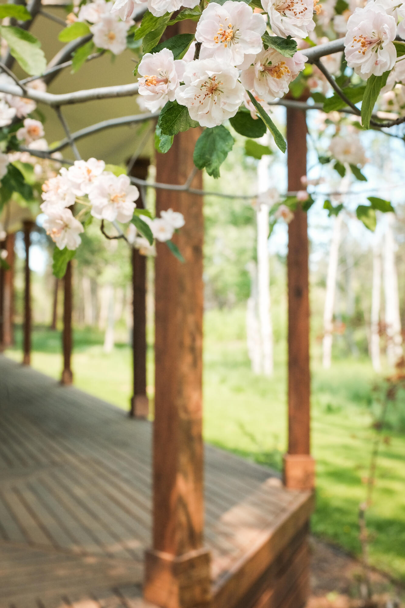 Sage Meadow - Residential