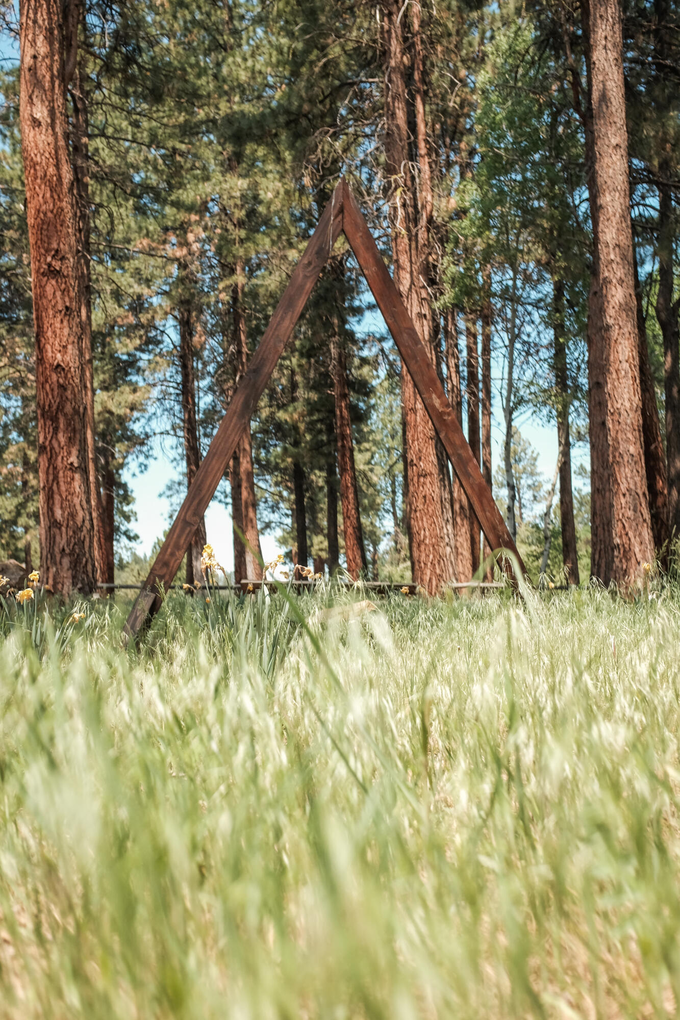 Sage Meadow - Residential