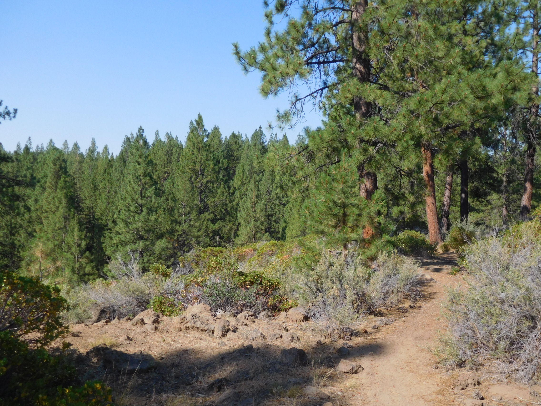 Inn Of The 7th - Residential