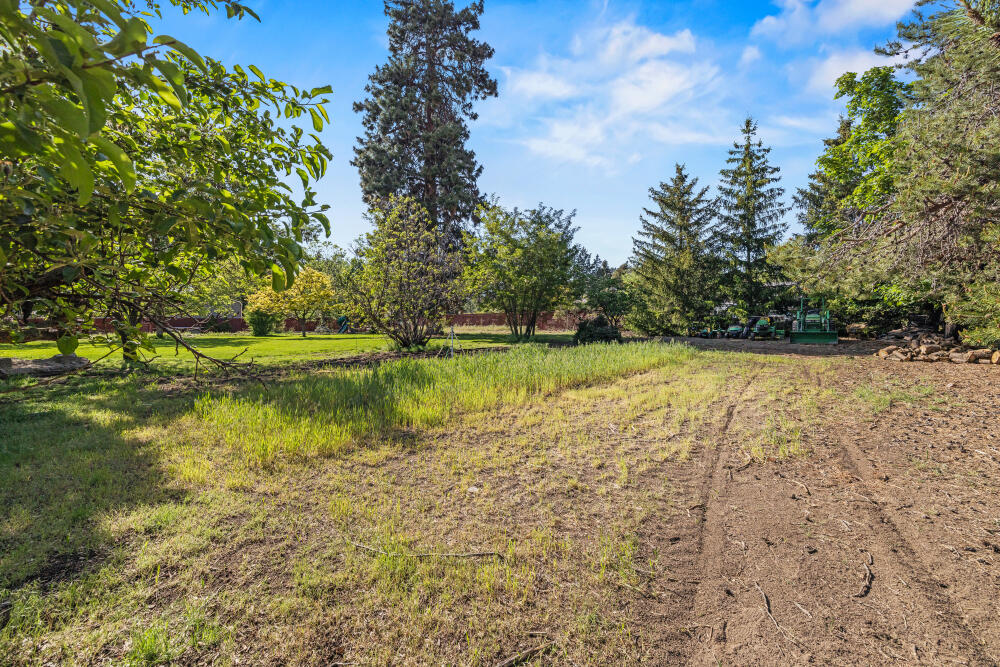 Pine Grove Ponderosa - Residential