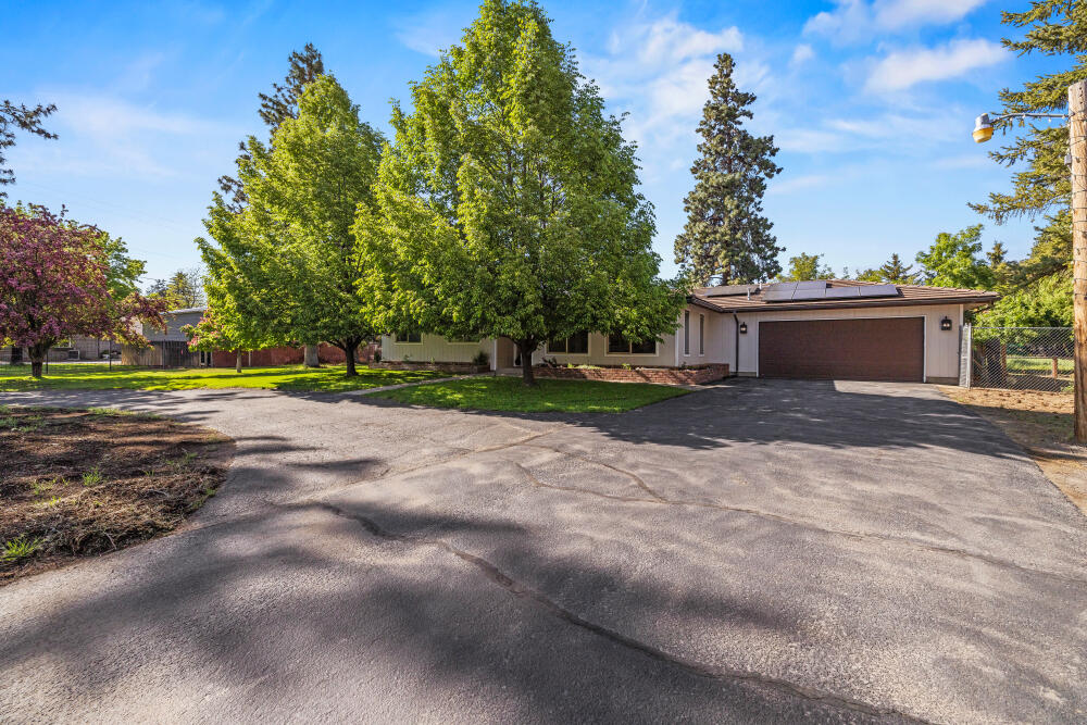 Pine Grove Ponderosa - Residential