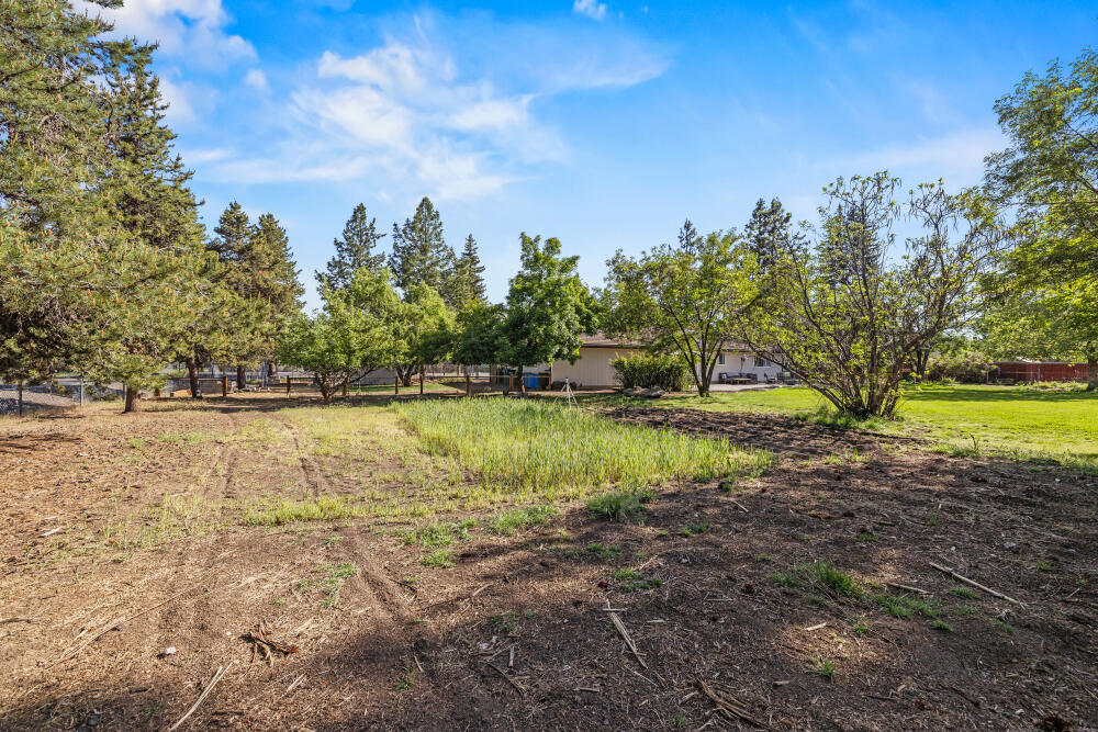 Pine Grove Ponderosa - Residential