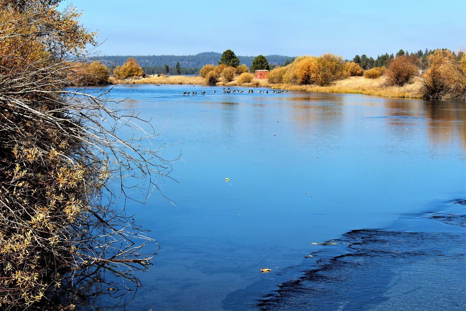 Pine Ridge Estates - Residential