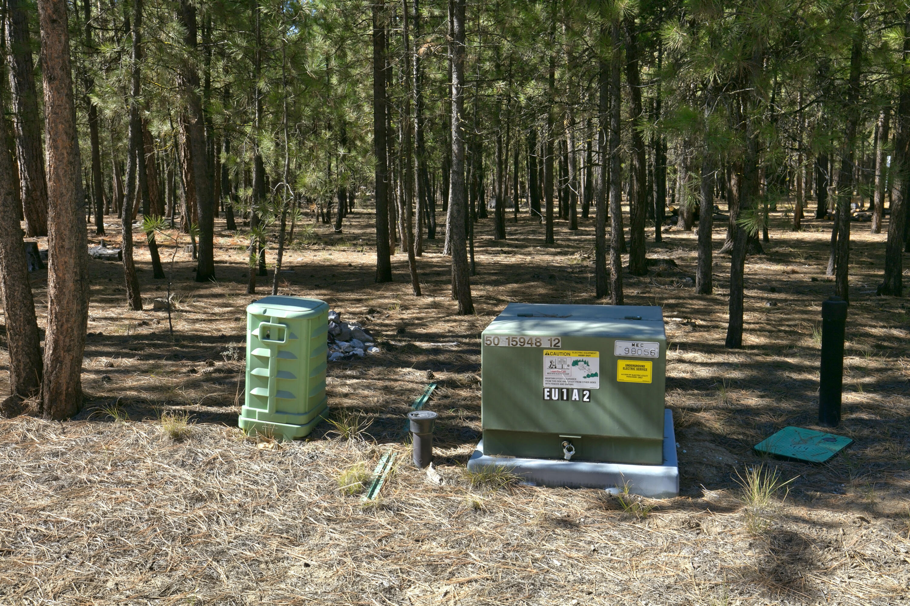 Ponderosa Pines - Land