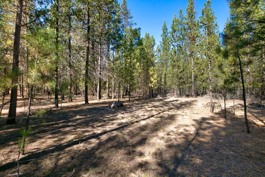 Build your dream home in La Pine's Ponderosa Pines! This beautiful level 1.2-acre lot offers a peaceful retreat among the pines. Enjoy the convenience of community water and Mid State electricity at the street, roads are gravel. This acreage is in its natural state so you can clear it to meet your needs. Central Oregon has so much to offer for recreational activities, just minutes to La Pine, and a short distance to Bend!