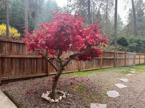 Tiny photo for 4184 E Evans Creek Road, Rogue River, OR 97537 (MLS # 220212396)